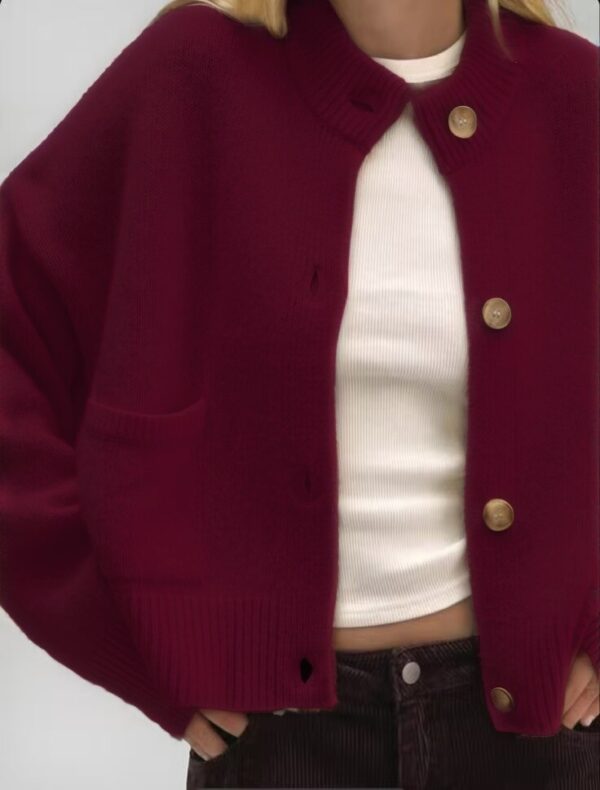 gilet-doux-maille-epaisse-a-bouton-et-poches_bordeaux_68c69d17e1b66